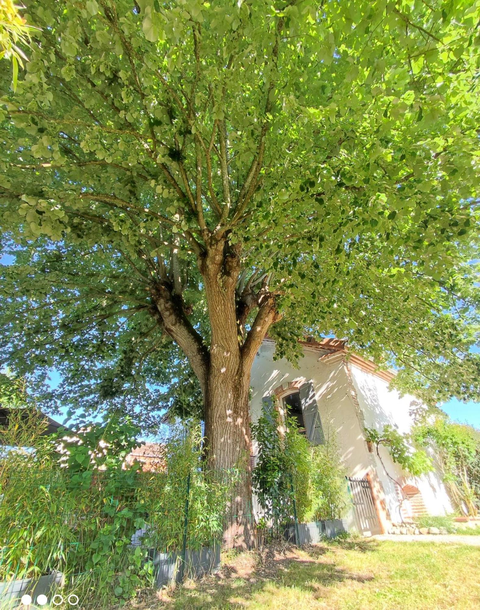 Villa Garona Avec Billard Proche Pyrenees Cazeres 外观 照片